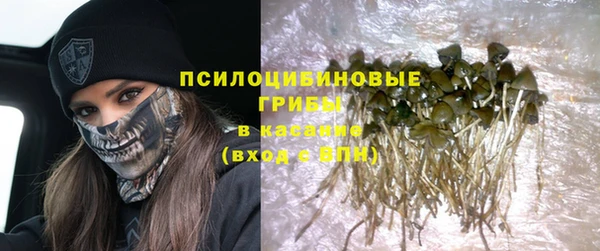бошки Горно-Алтайск