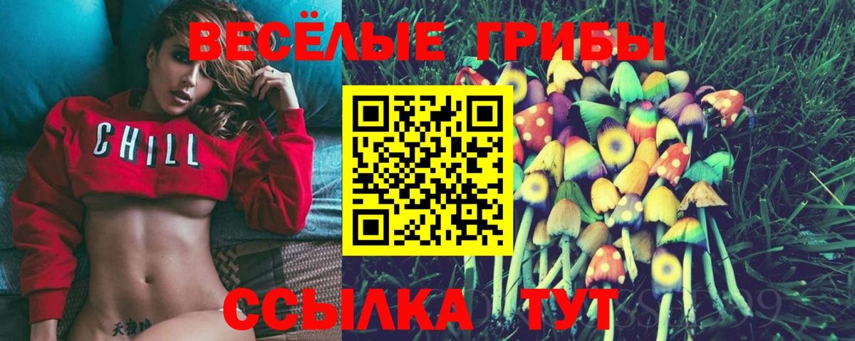 Псилоцибиновые грибы прущие грибы  Дербент 