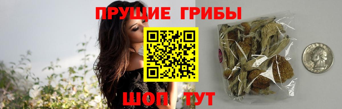 Галлюциногенные грибы GOLDEN TEACHER Дербент